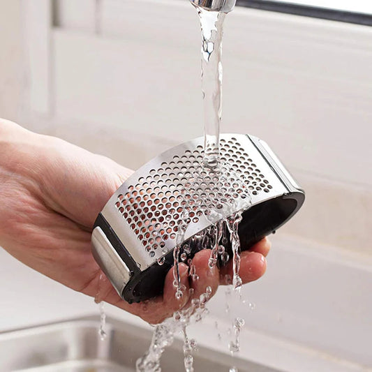 Stainless Steel Garlic Press (Pack OF 2)